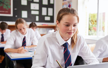 Advanced Learnign Institute Courses